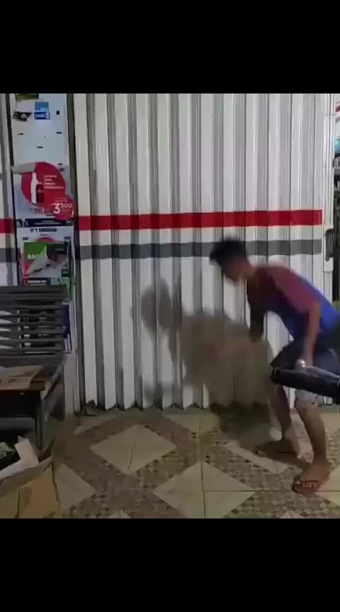Petasan Tanpa Biaya
