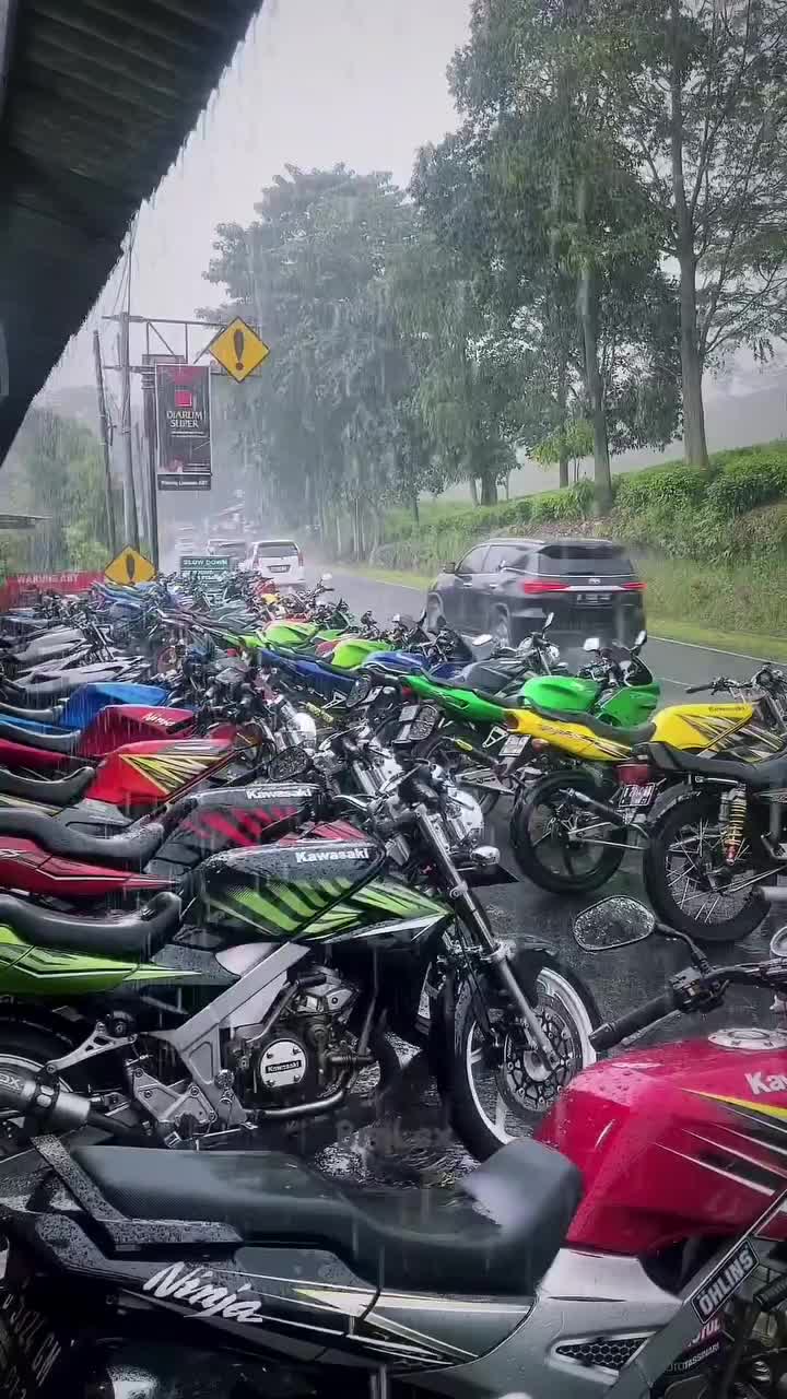 cuci motor gratis