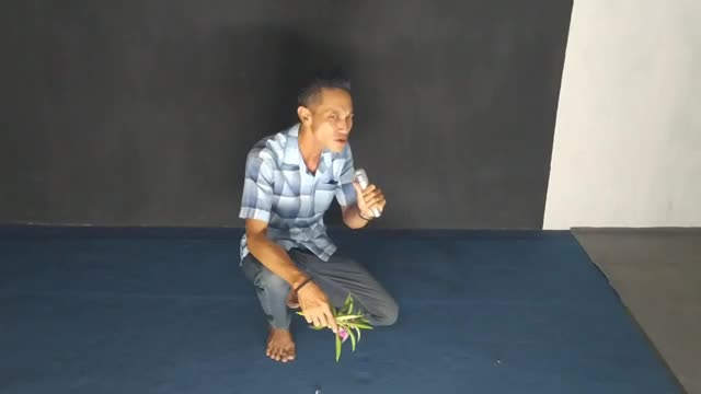 KDI2021 Mr.Vu 007 35 Gresik/Sidoarjo (Pecah Seribu) #OnlineAuditionKdi2021 Salam dissu dissuu.. 