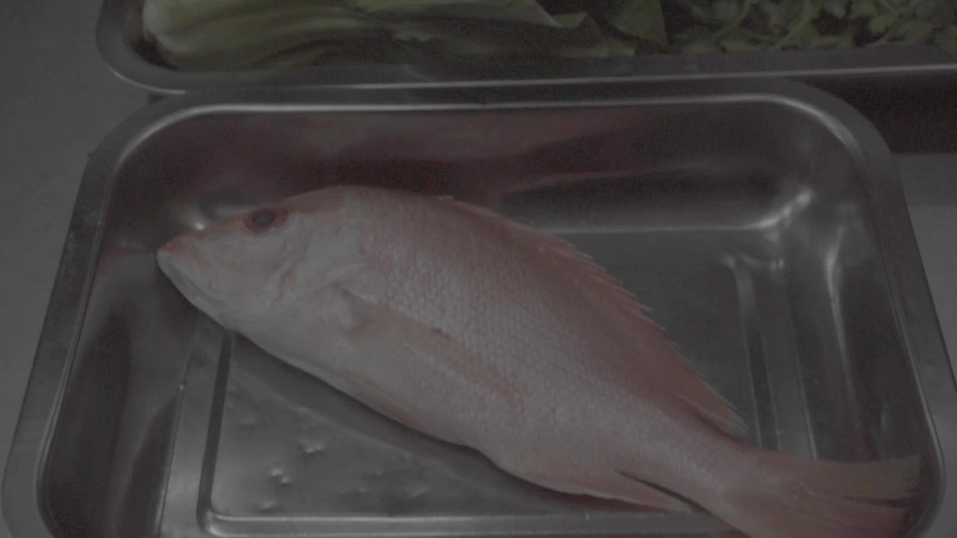  Pan-fried Snapper with Ponzu Aioli by Igna #onlineauditionmci9