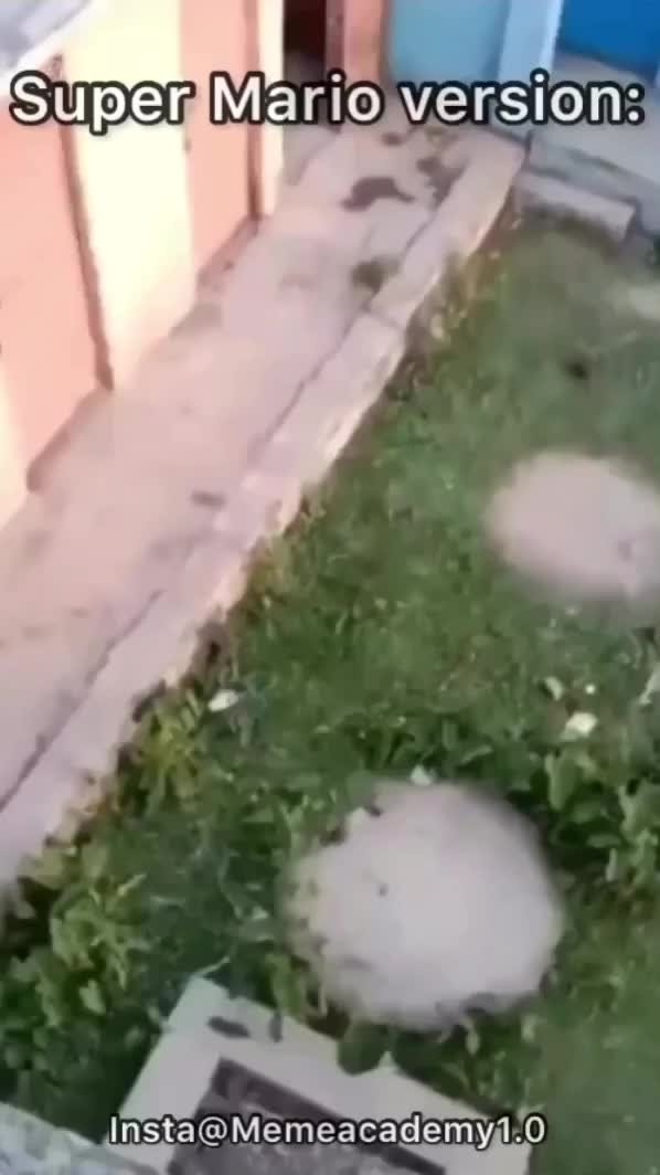 super mario in real life