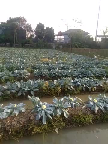 Bumi Kosambi Permai Karawang 