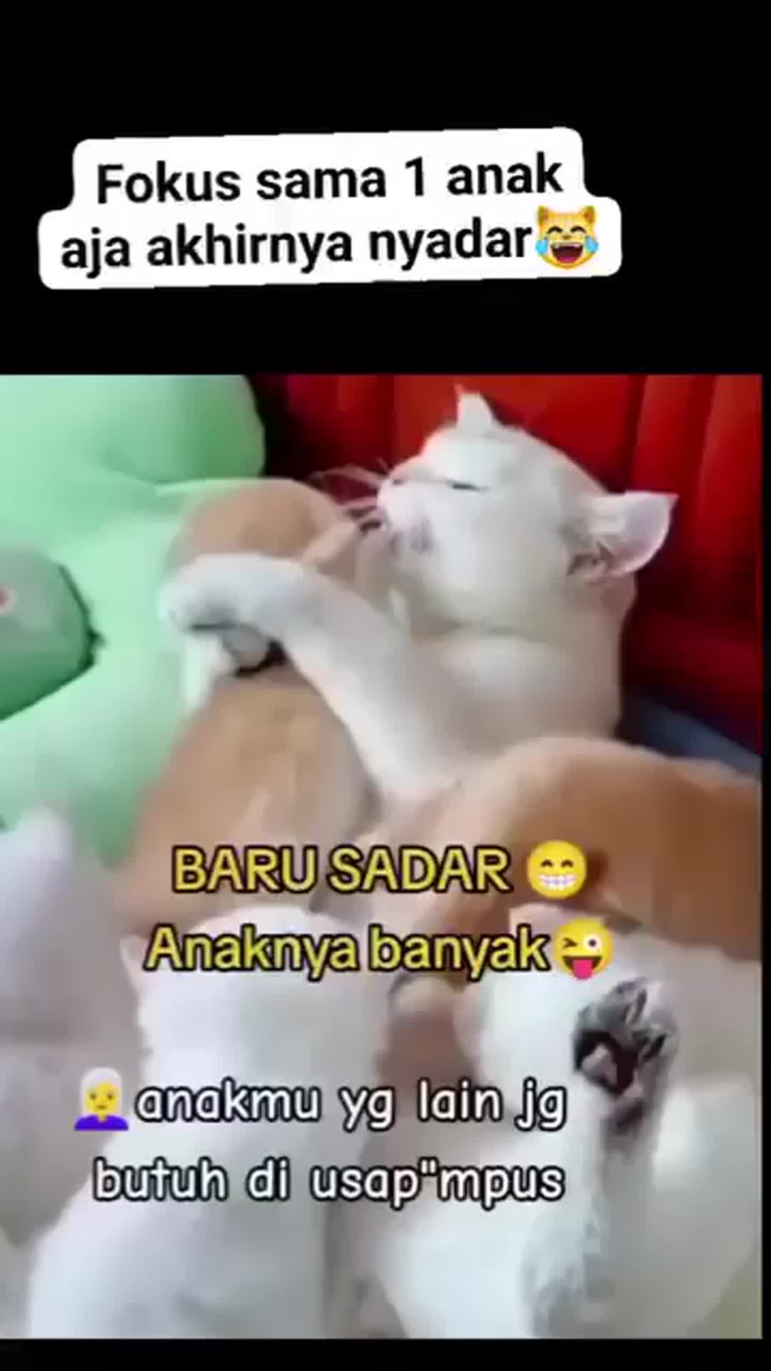 lah anak gwa banyak ya