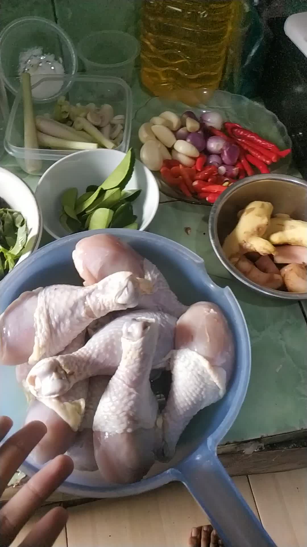 #onlineauditionmci8 ayam rica