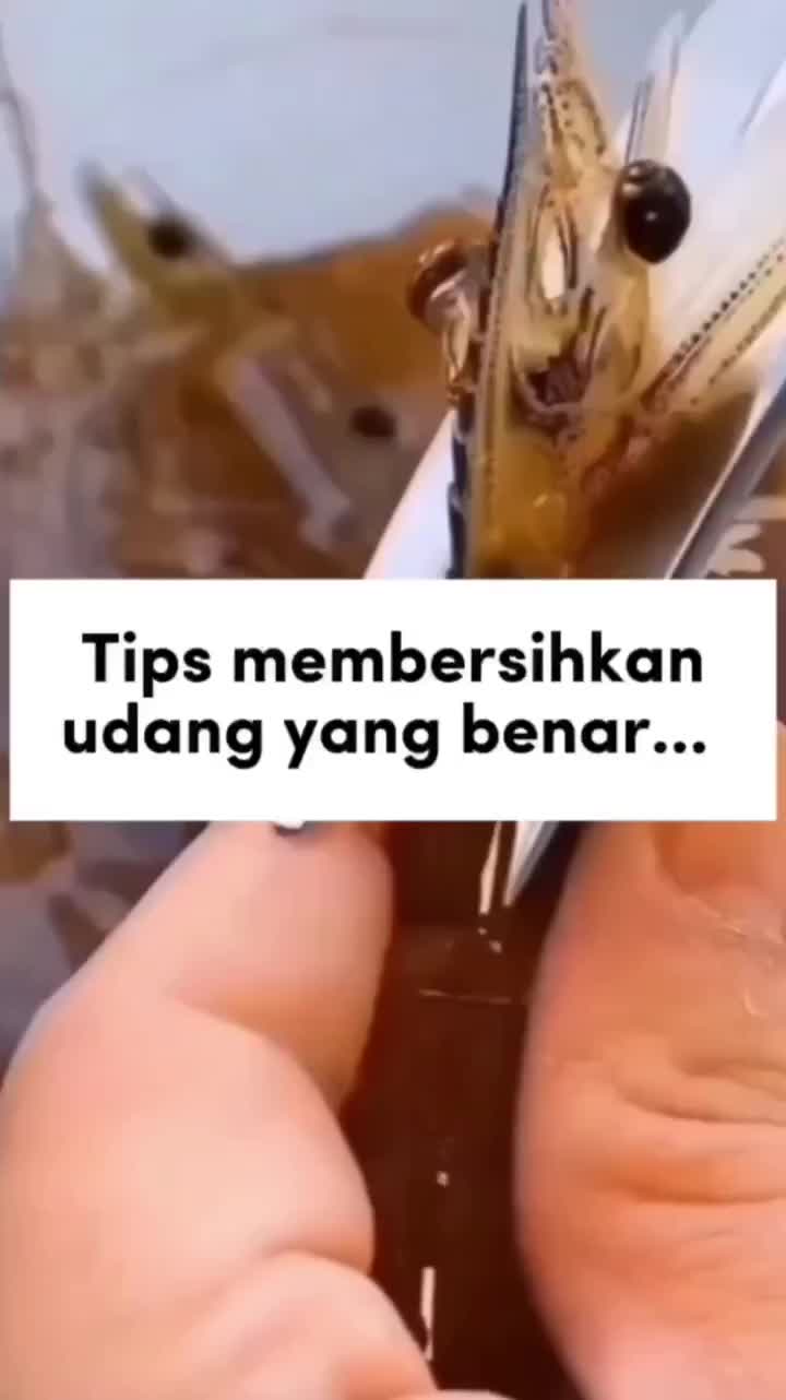 Cara Membersihkan Udang Yang Benar