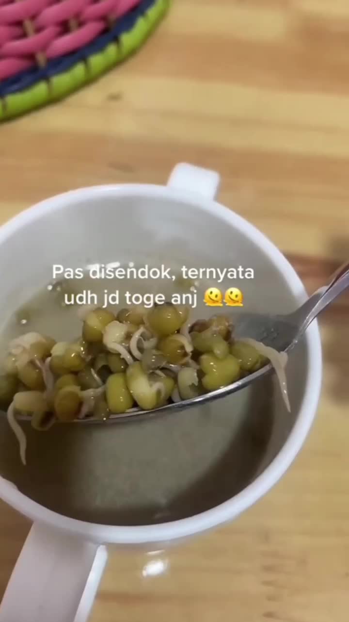 Wkwk Malah Jadi Toge