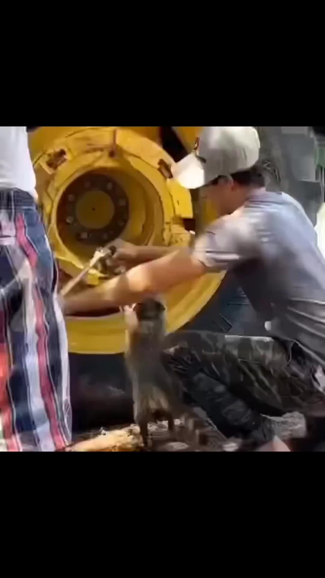Bantuin bapak kerja