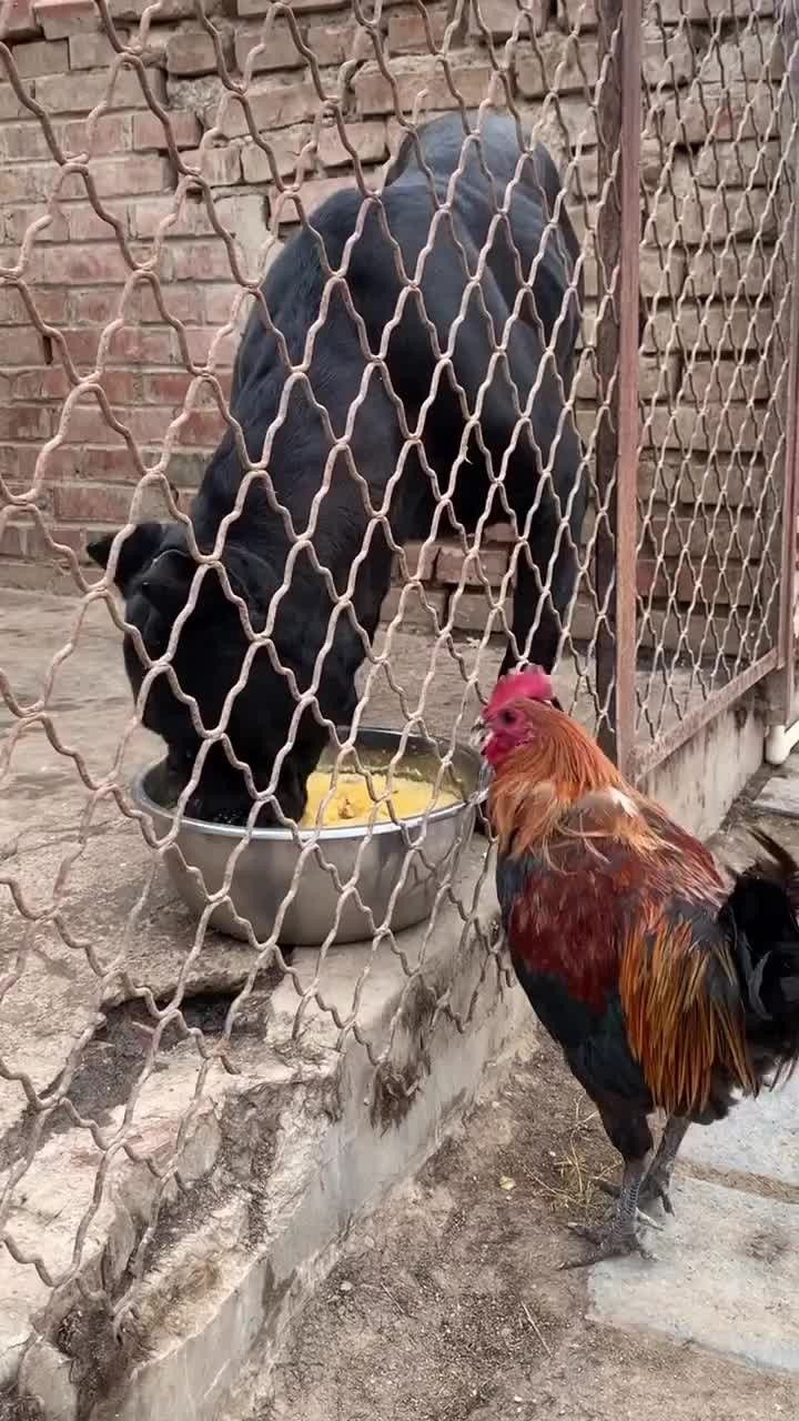 Bagi dikit ya bro