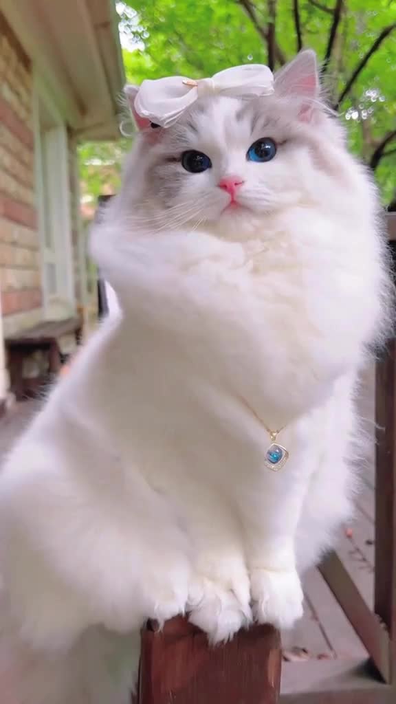Cantik bangetttt