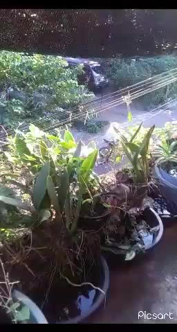 bikin lirik lagu di sore hari di bali......#showyourtalent