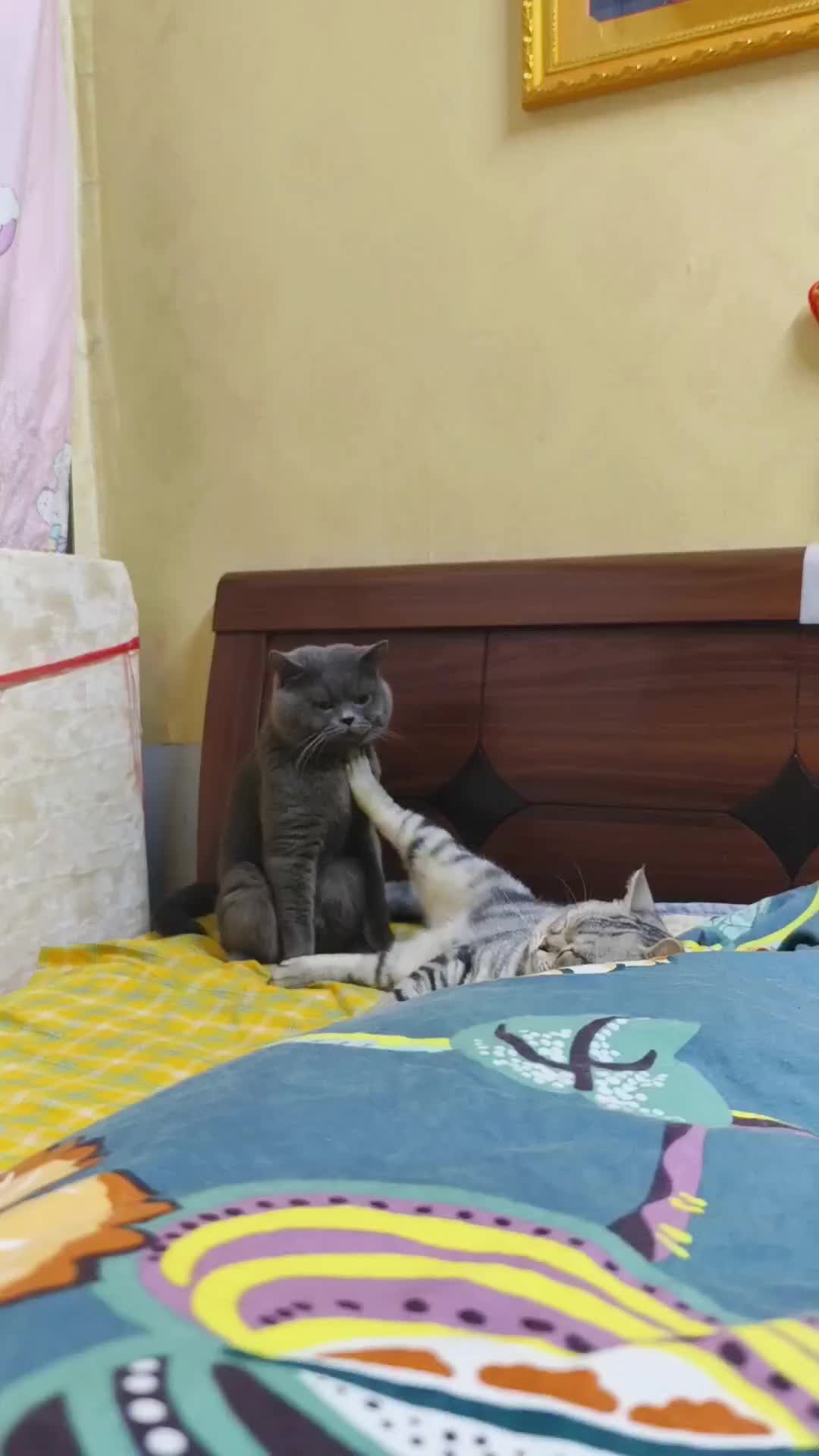 Ketika bini lagi ga mau