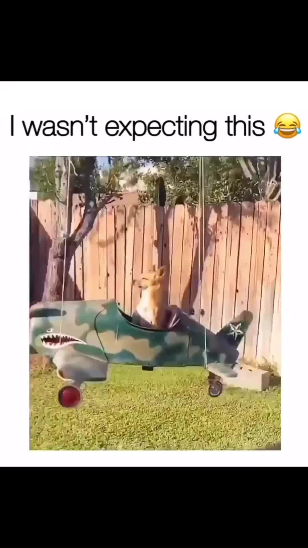 wait for it