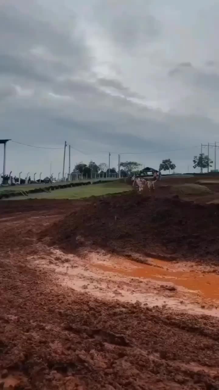 balap lari lumpur
