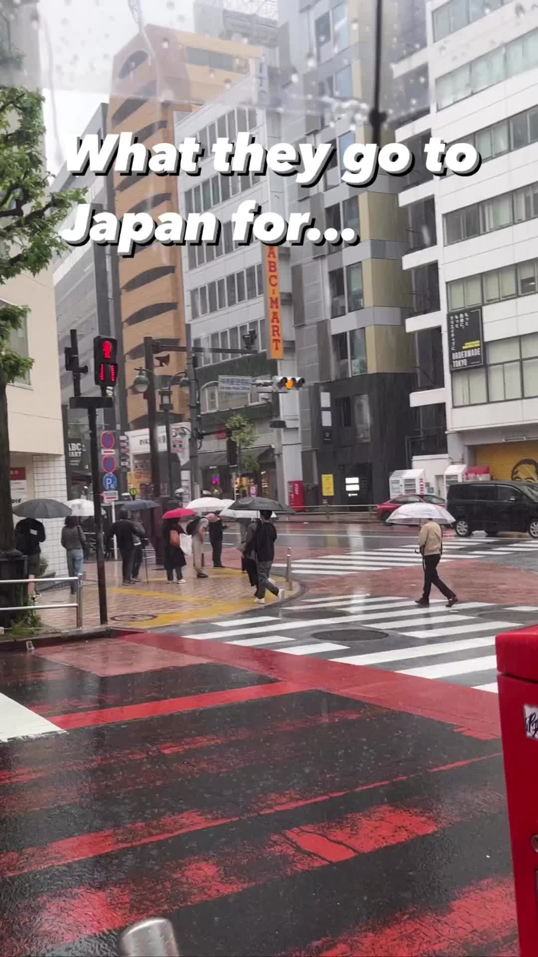 what they go to japan