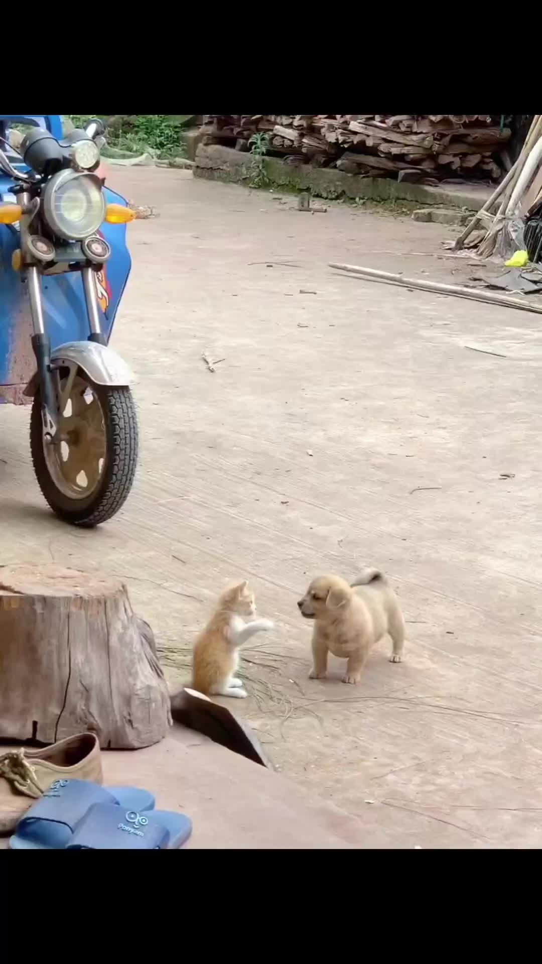 lucu banget
