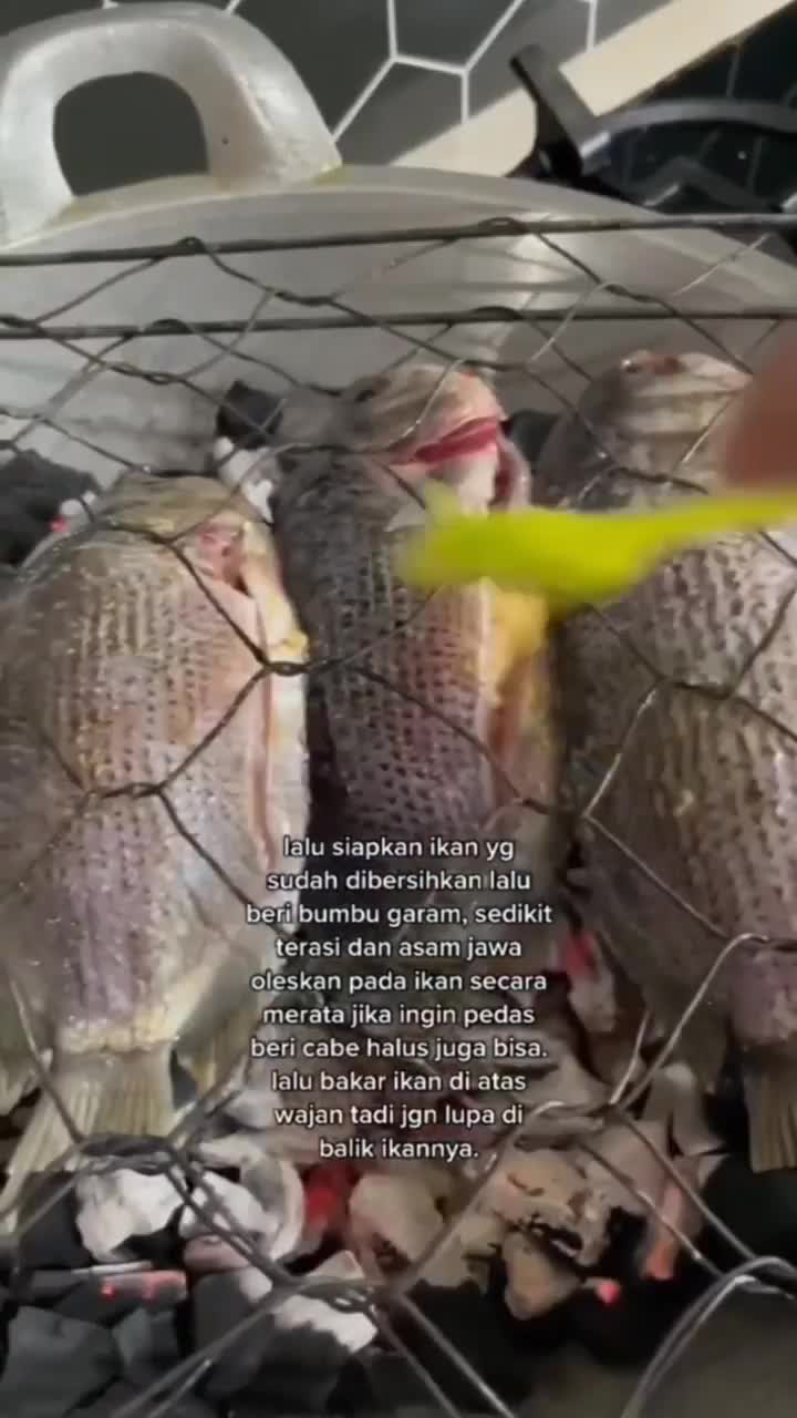 Metode Praktis Cara Bakar Ikan