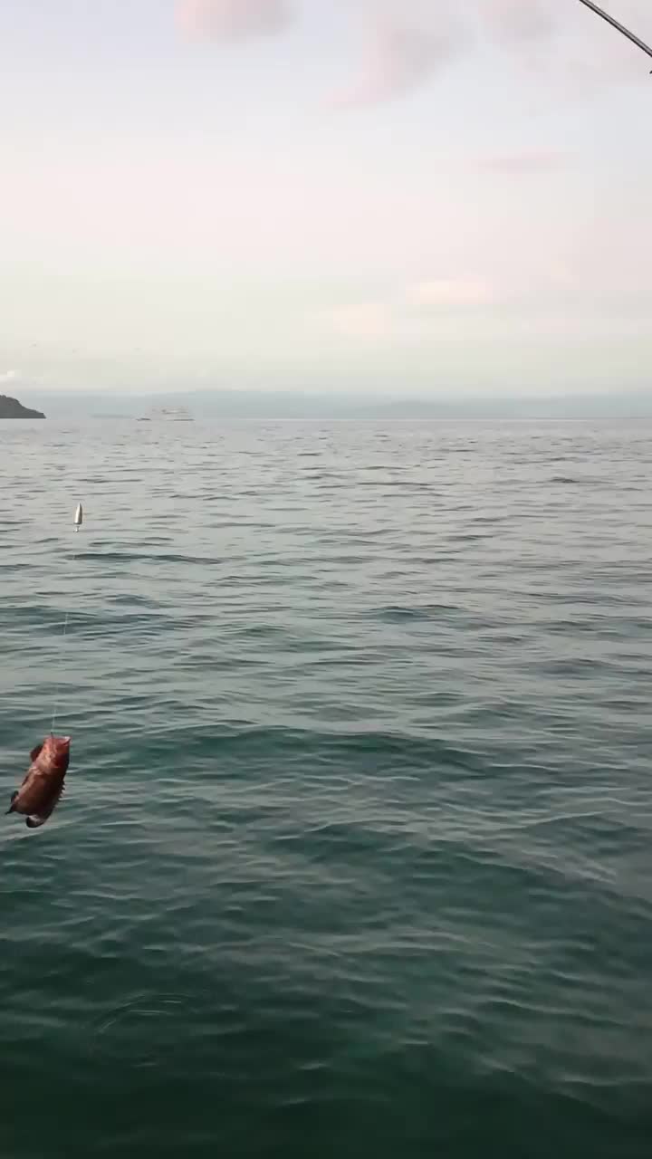 Ikan terbaik adalah ikan yang langsung di makan setelah dipancing