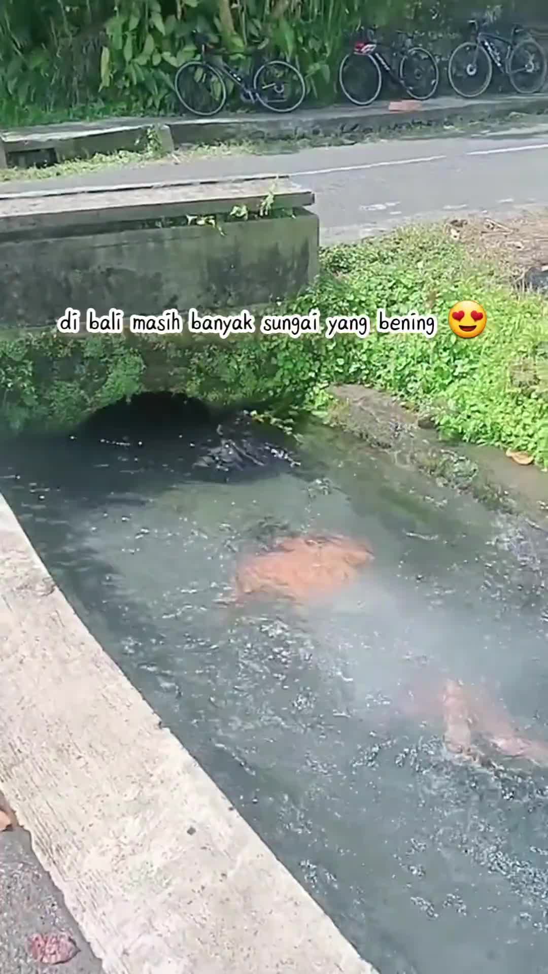 Asyiknyaaa punya got yang bersih dari sumber air 😍👍