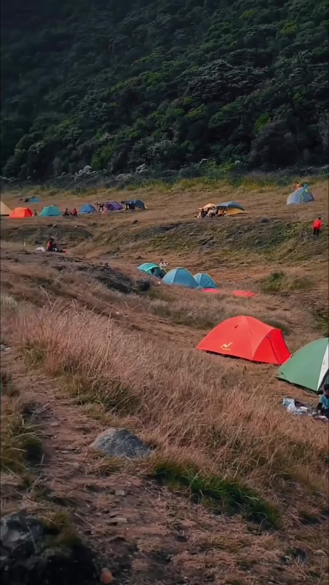 Banyak pendaki yang belum paham tanda ini
