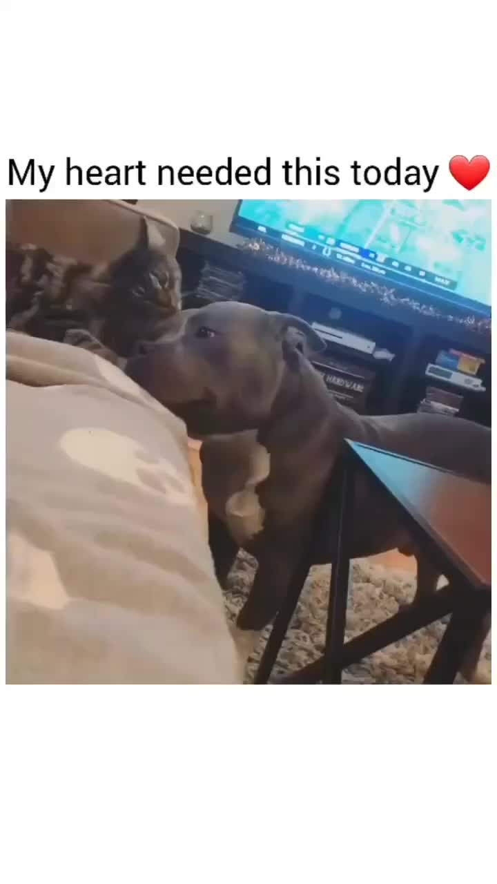 Pov: ketika aku membutuhkan kasih sayang