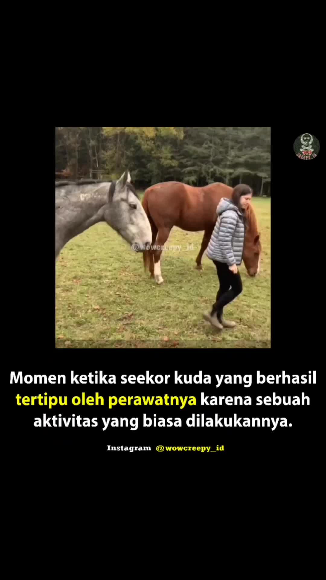 kamu tertipu