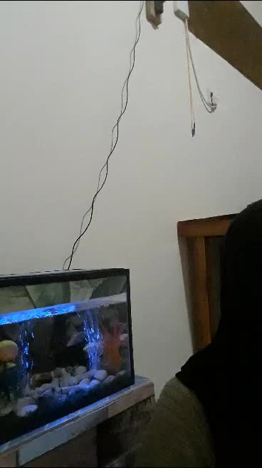 #RCTIPLUSCOVERCITARASA#MAHALINI