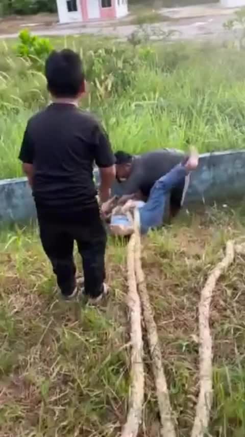 menang lupa temen