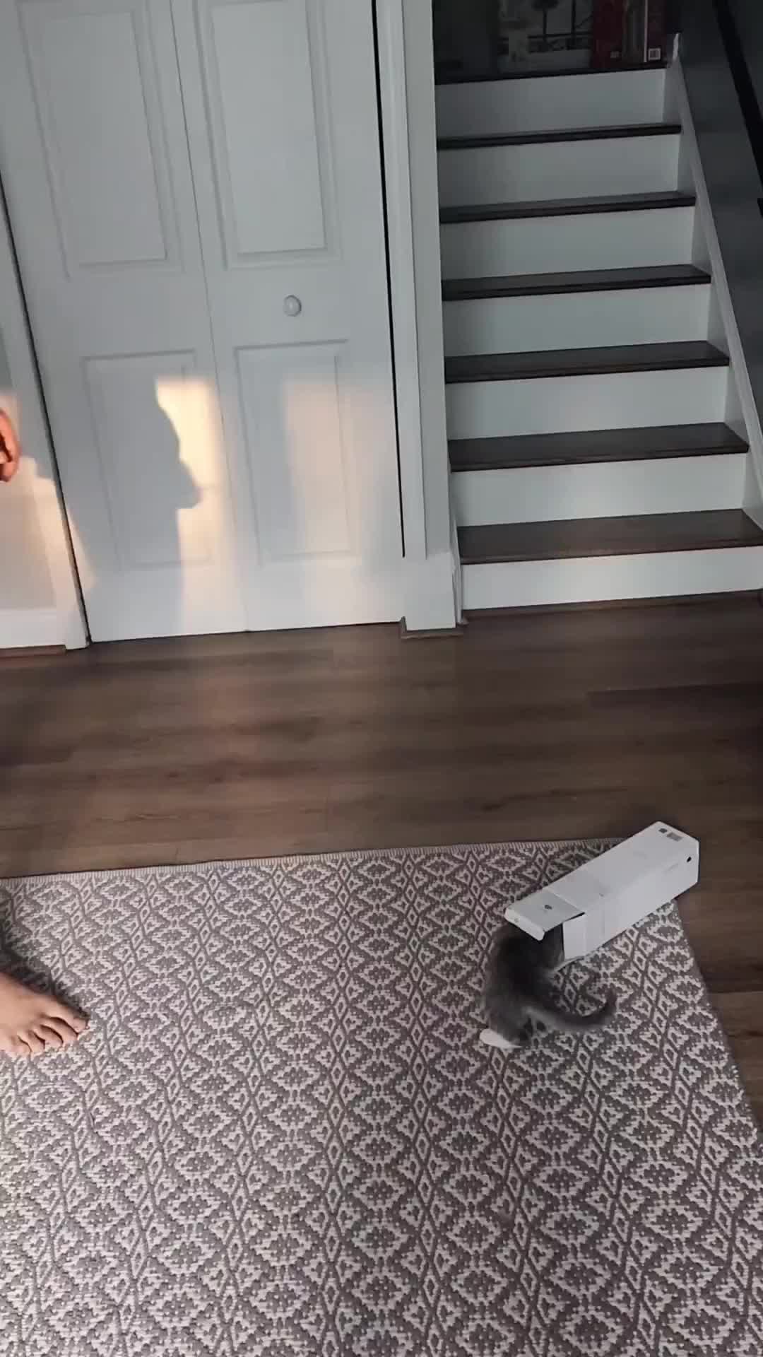 lucu banget produknya