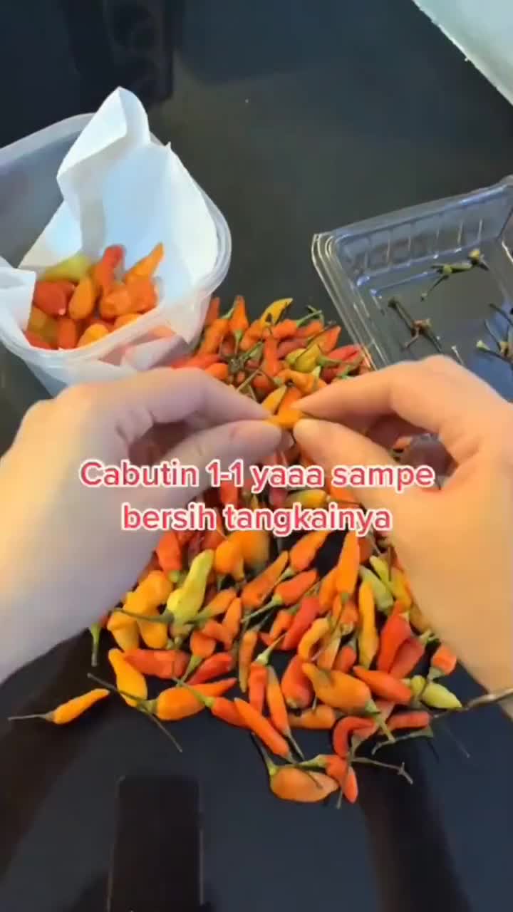 Tips Cabe Awet Hingga 6 Bulan