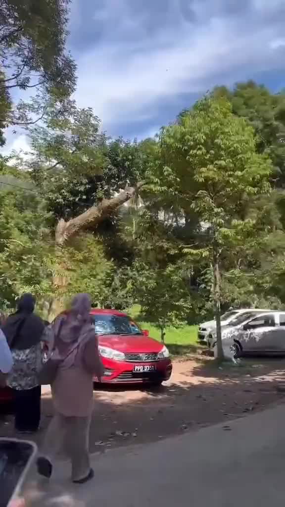 Kena Durian Runtuh Yang Sesungguhnya