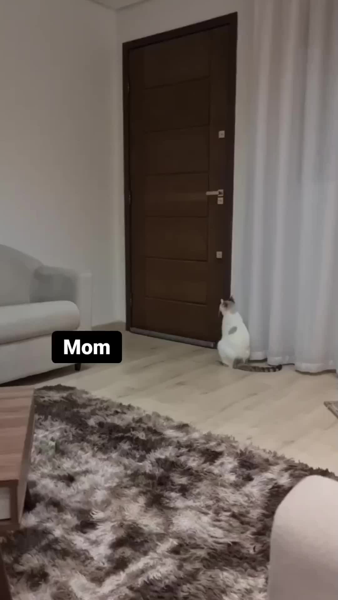 Mak bukain pintuu