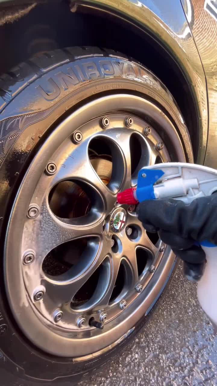 detailing wheel cleaning