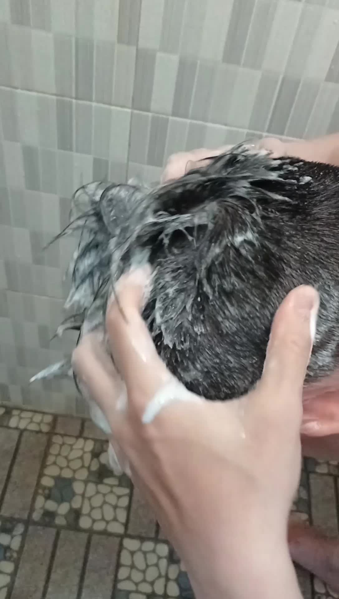 Review Shampo ROMANO yang lagi Viral dan Ini Beneran Oke banget👍