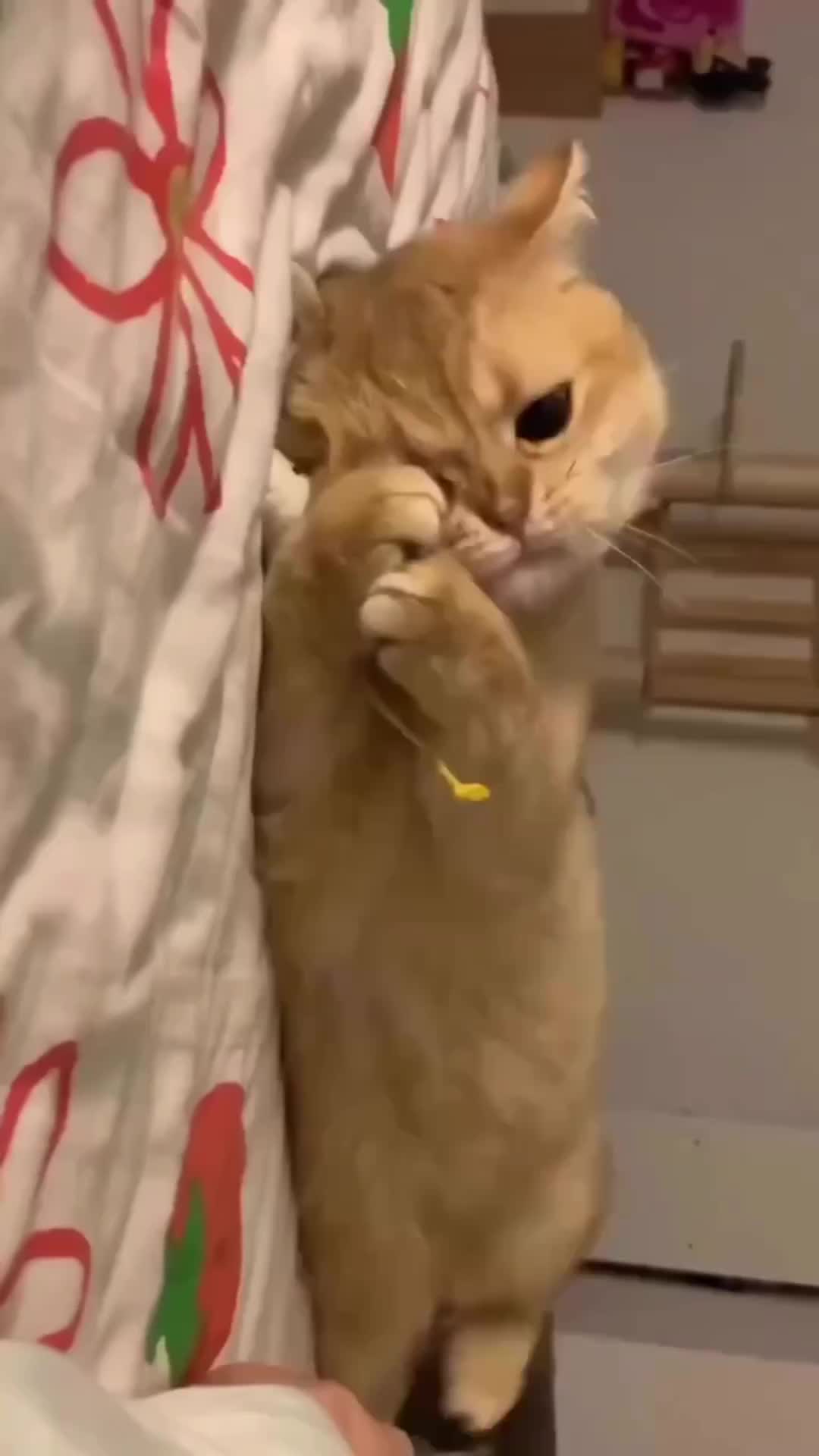 Mager banget semager magernya