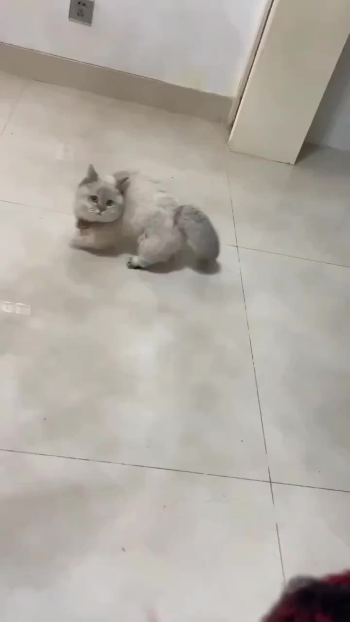 Lagi marah tapi ga ada seram seramnya