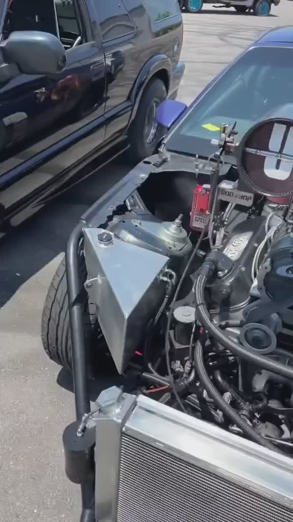 muscle meet