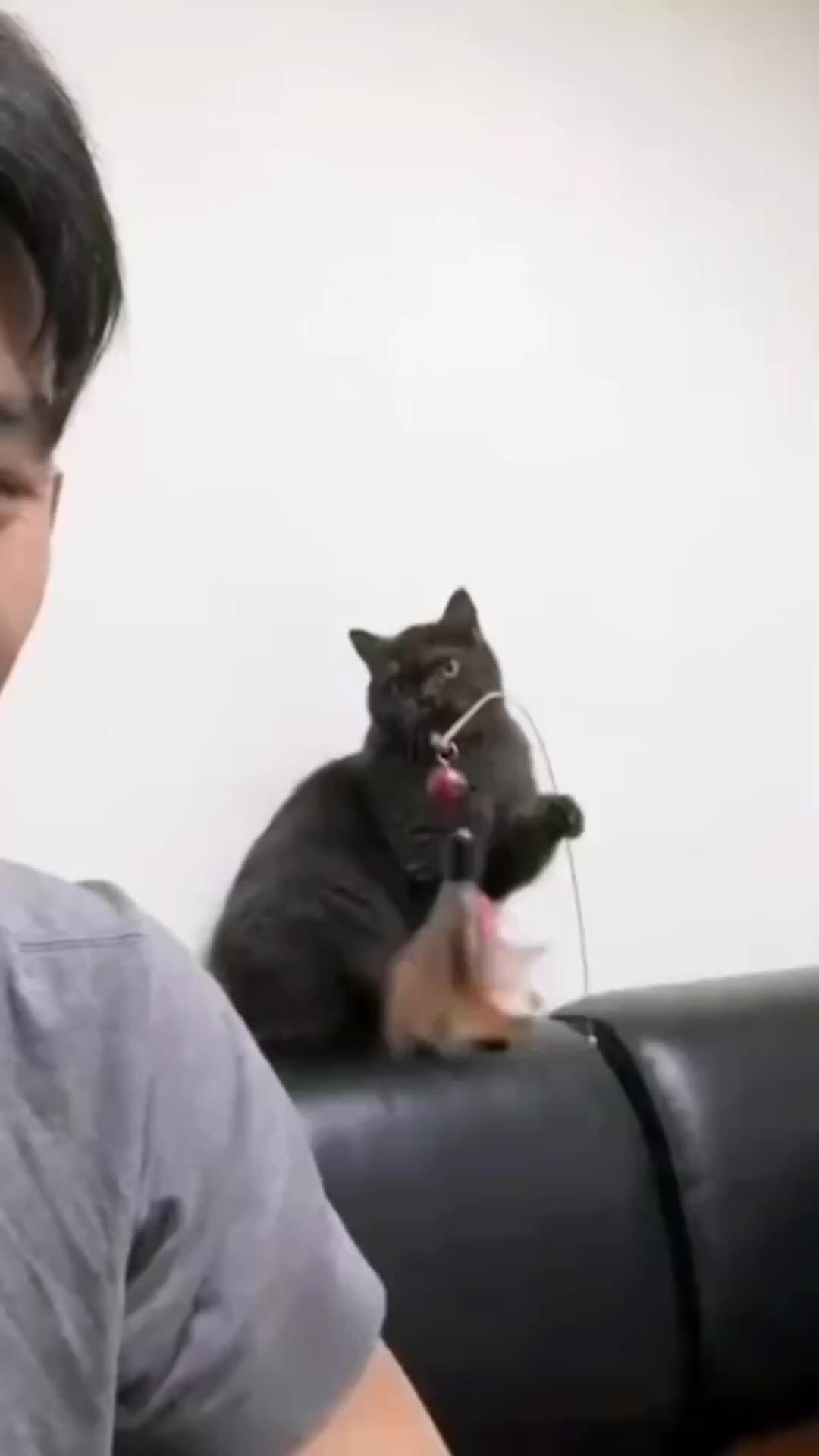 lah kebalik gak si?
