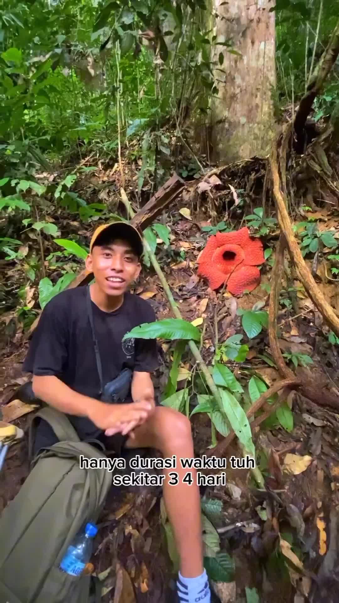 Lebih baik melihat sekali,daripada mendengar seribu kali.
