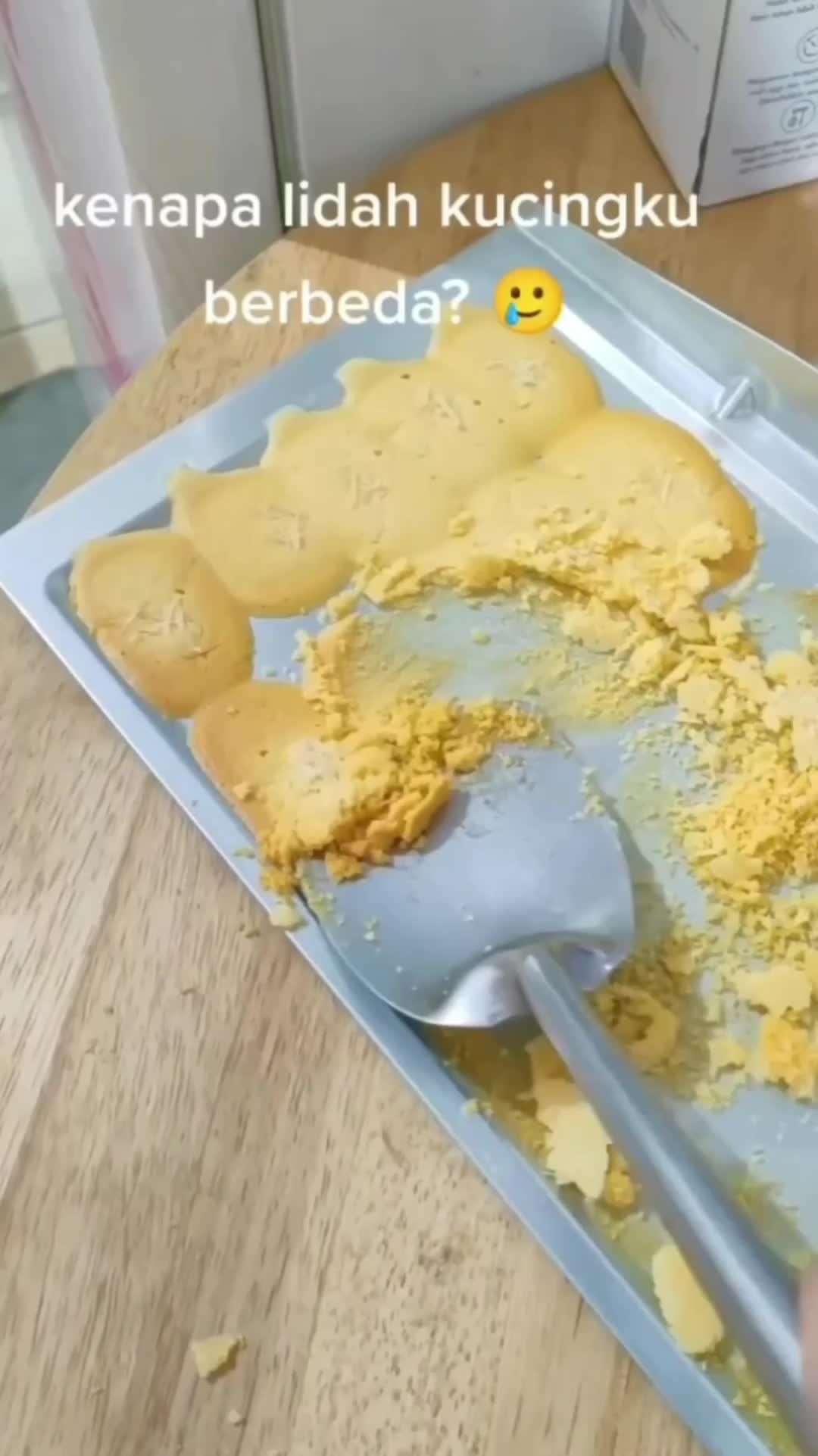 Jadinya Kue Pasir Kucing, Bukan Lidah Kucing