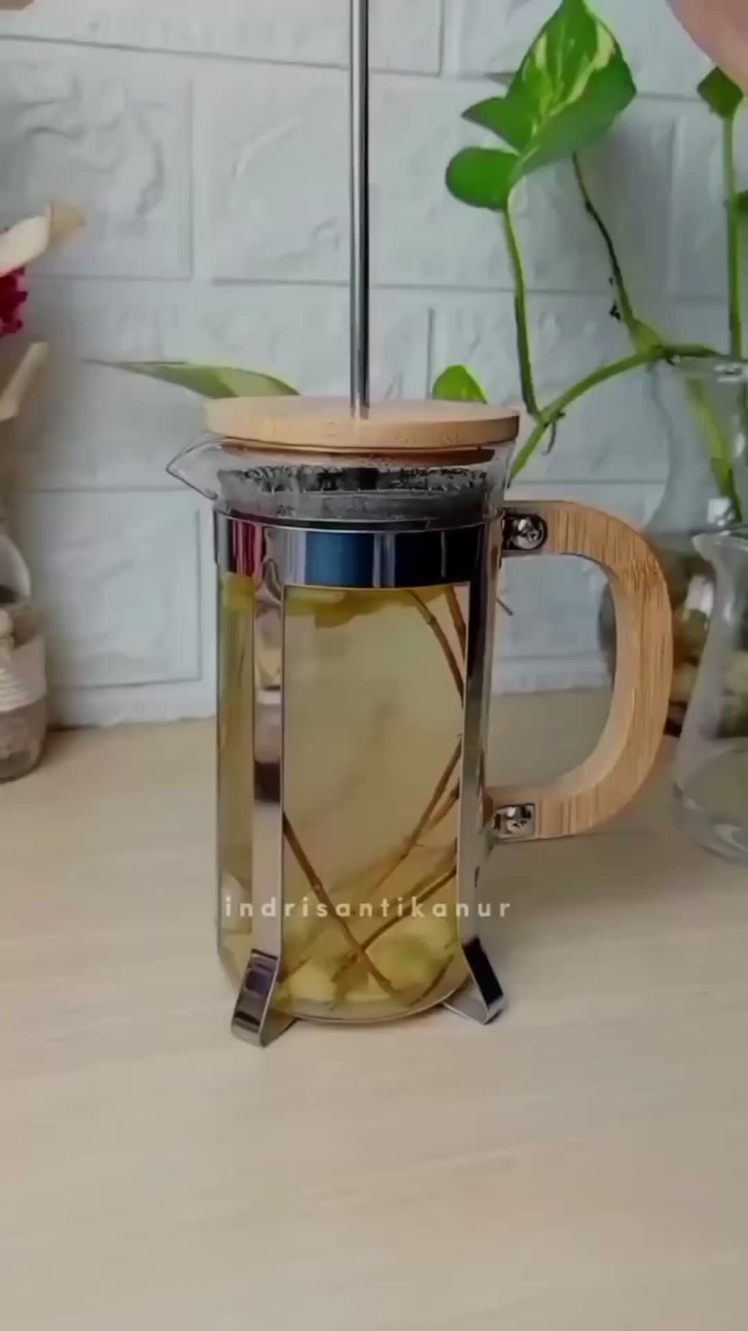 booster ginjal
