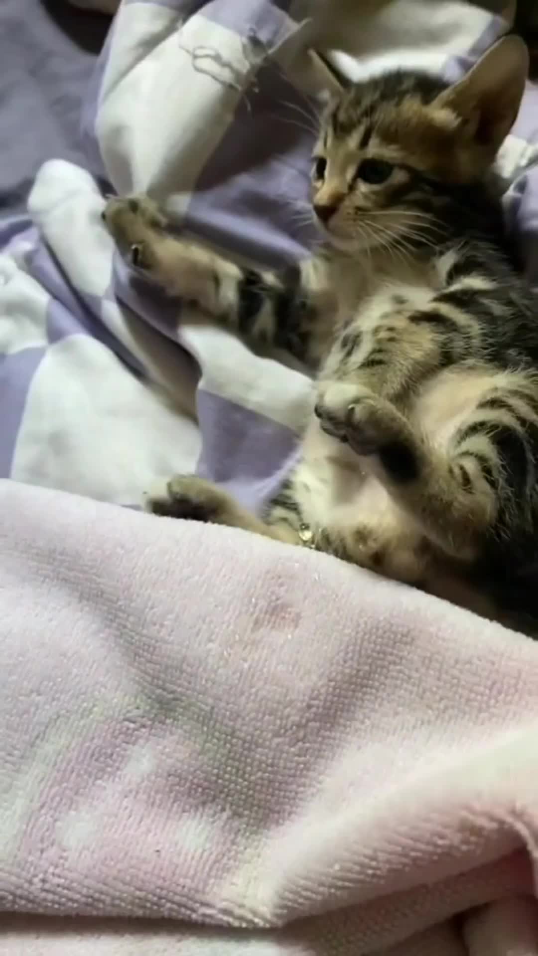 Maklum aja masik bocil