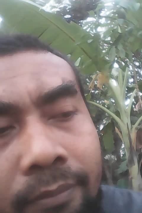 fadjar rijadi 14/9/77 pagar makan tanaman kebumen jateng
