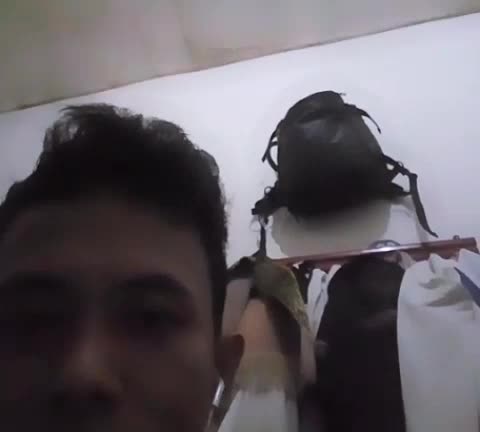 show your talent, maulana malik ismail, 31, bogor, noah/peterpan ( dalam mimpi yang sempurna)