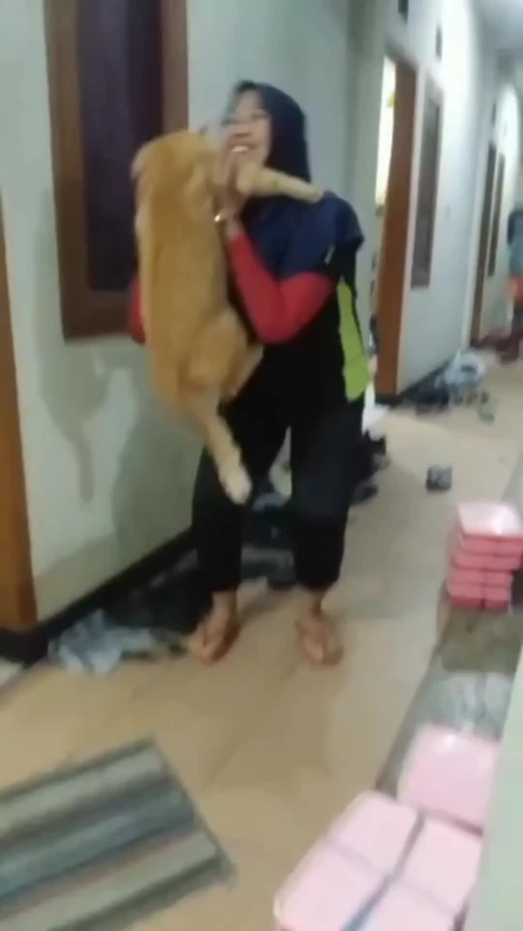 dicariin emak