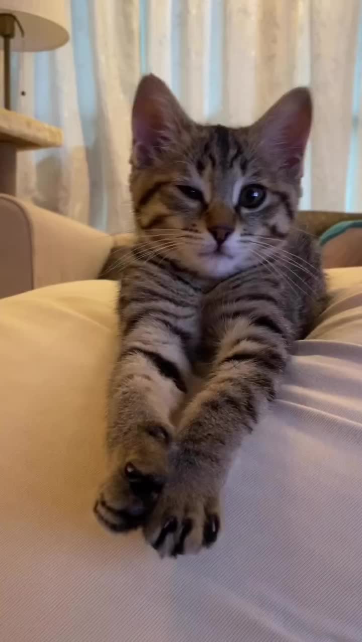 Bayi ngantuk