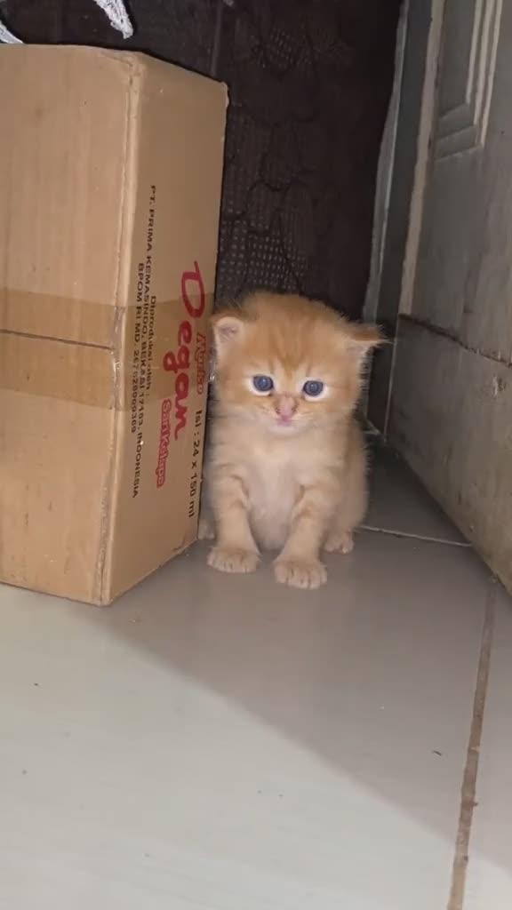 Mama kenapa aku berbeda
