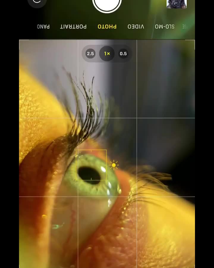 memfoto mata