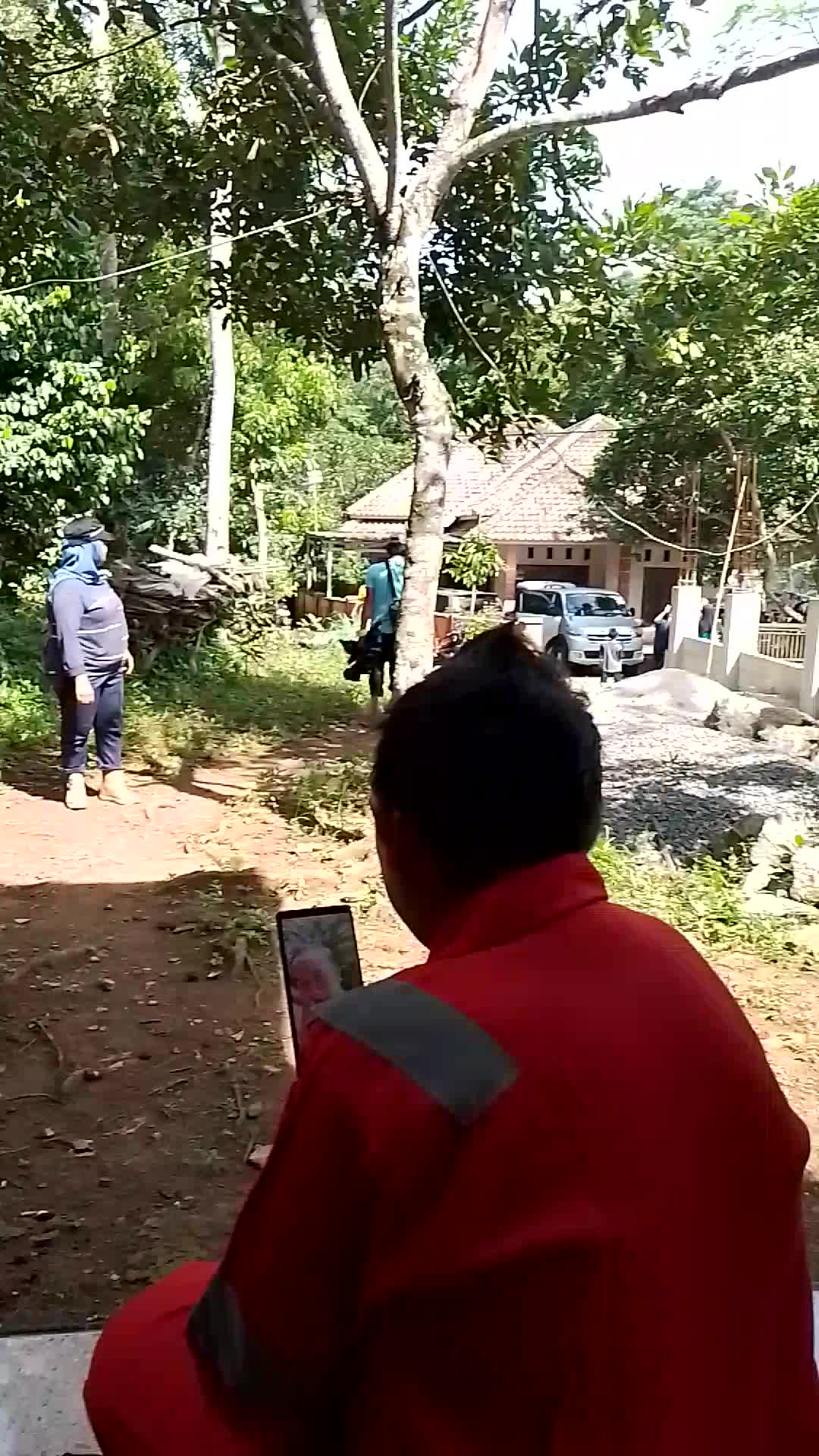 buangau suting bedah rumah