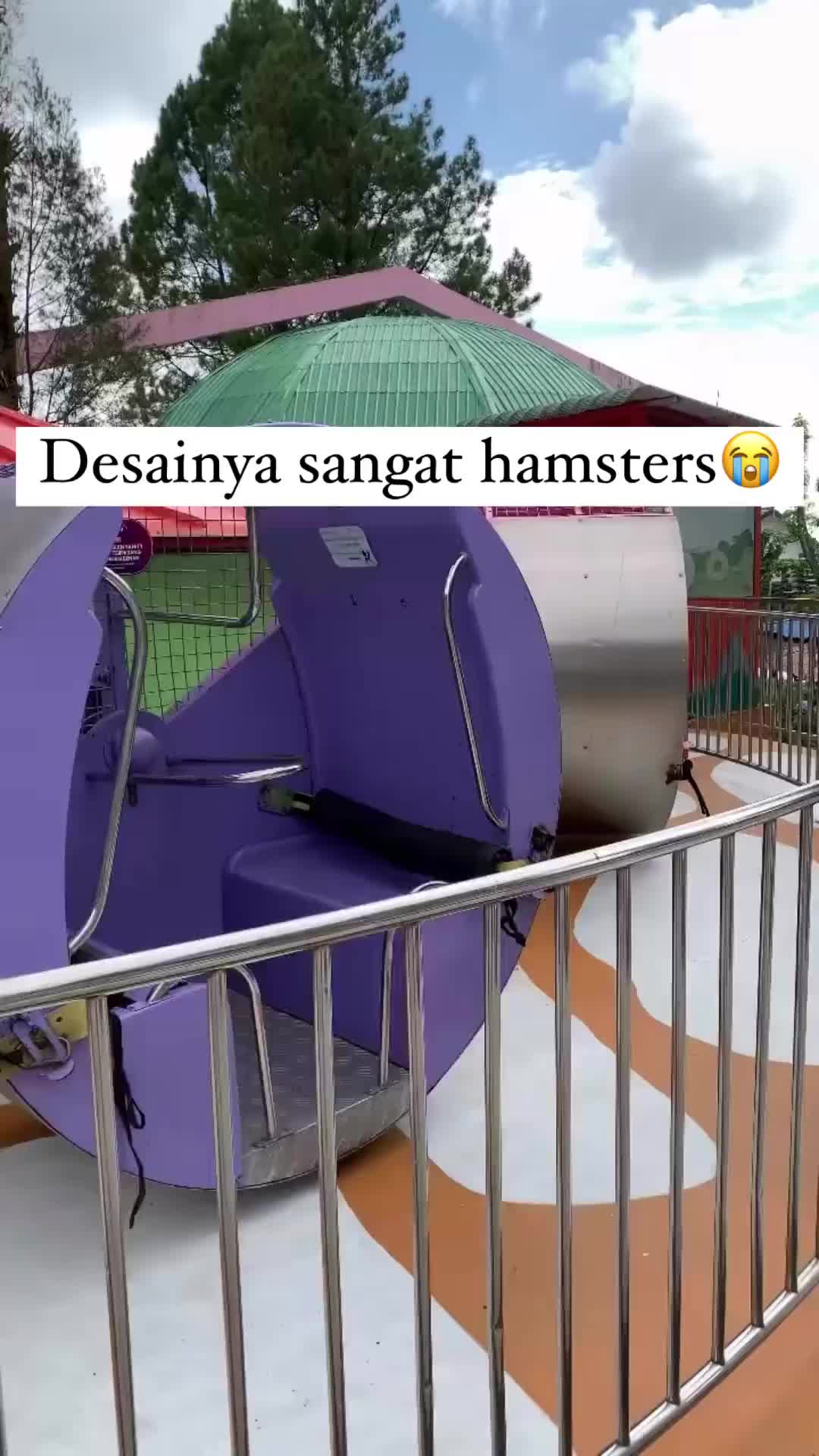 Kayak Maenan Hamster