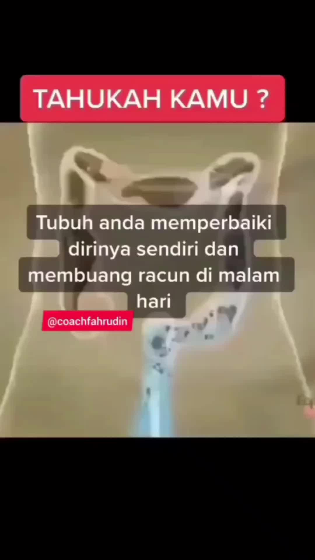 tubuh membuang racun